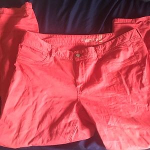 American Rag Skinny Capris